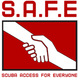Safe-access-logo